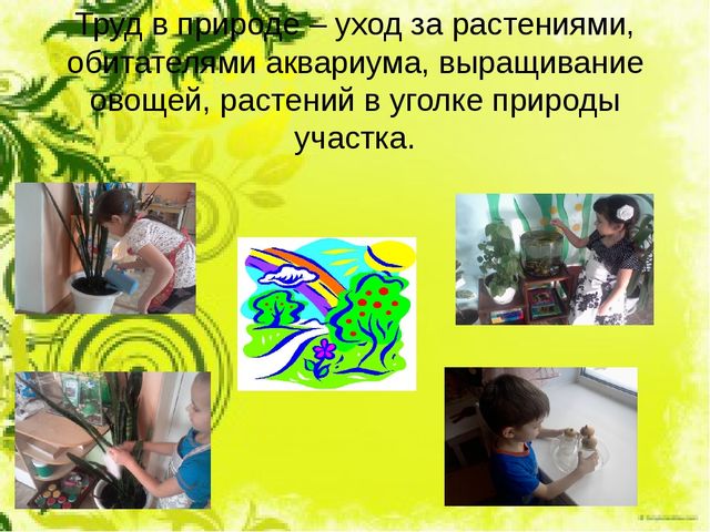 Презентация для воспитателей "Трудовое воспитание"