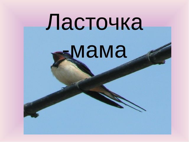 Презентация по окружающему миру "Птичье настроение"