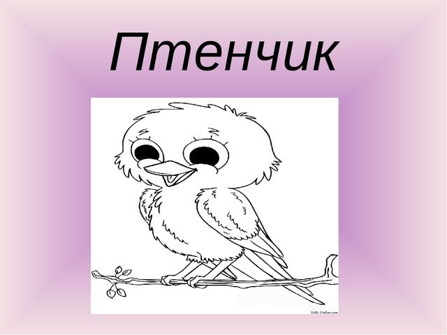 Презентация по окружающему миру "Птичье настроение"
