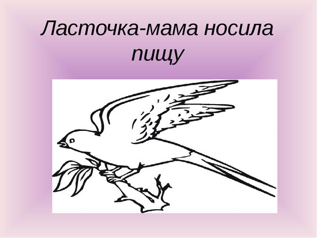 Презентация по окружающему миру "Птичье настроение"
