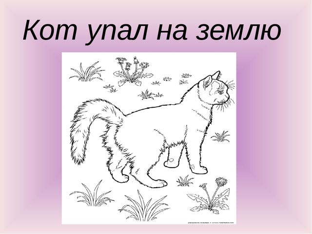 Презентация по окружающему миру "Птичье настроение"