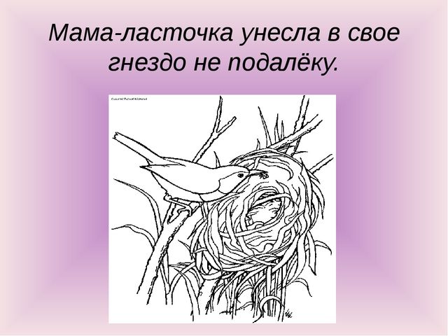 Презентация по окружающему миру "Птичье настроение"