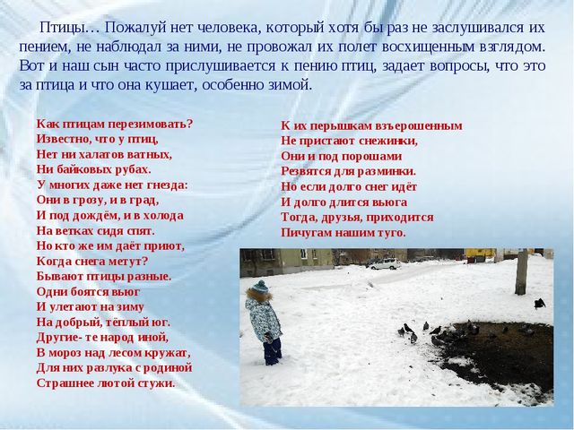 Каждой пичужке - наша кормушка