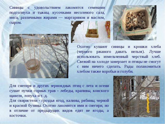 Каждой пичужке - наша кормушка
