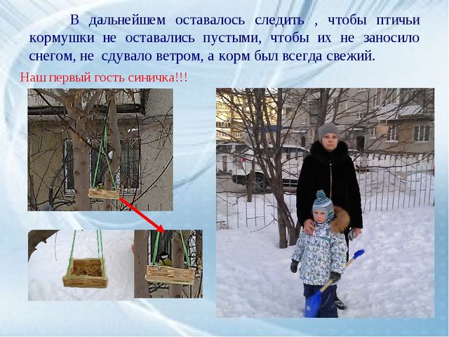 Каждой пичужке - наша кормушка