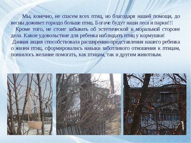 Каждой пичужке - наша кормушка