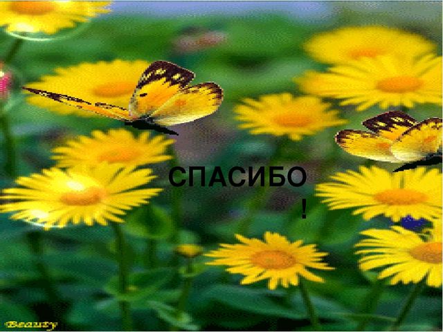 Презентация для детей младшего возраста "Знакомство с желтым цветом".