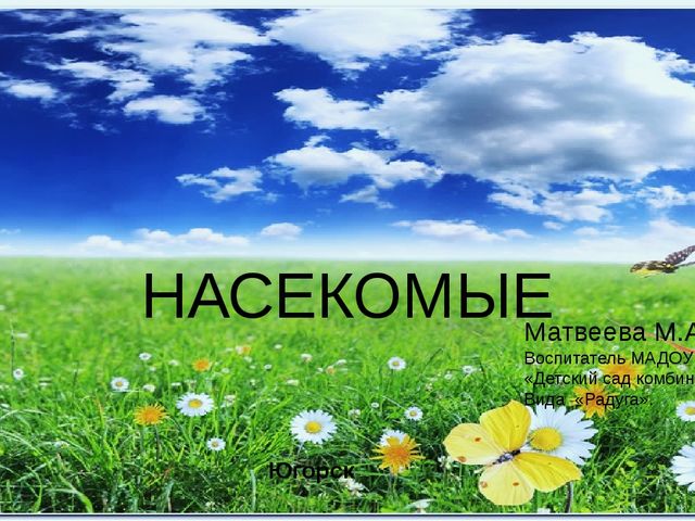 Презентация по теме "Насекомые"