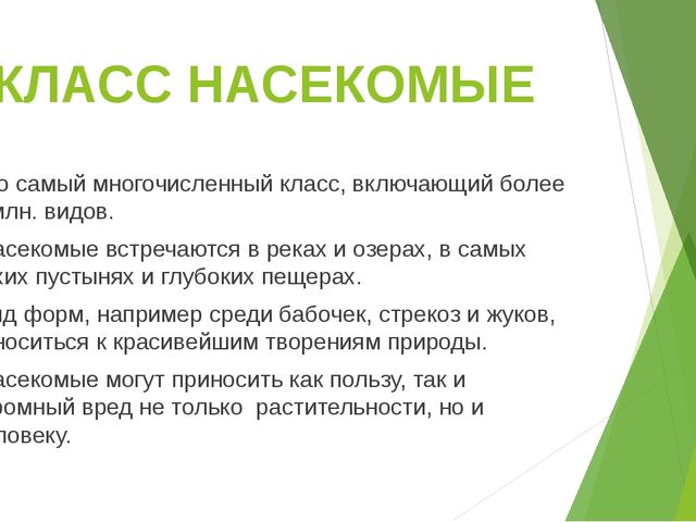 Презентация по теме "Насекомые"