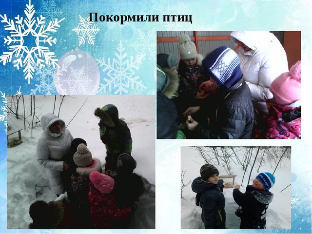 Презентация "Организация тематических прогулок с экологическим содержанием в подготовительной группе детского сада"