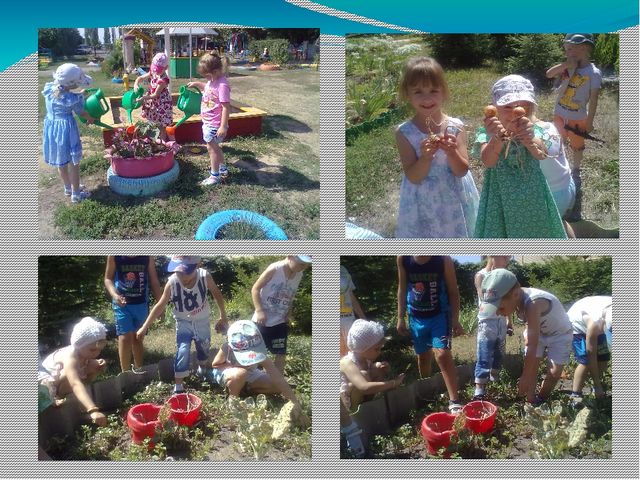 Презентация "Педагогический проект по экологическому воспитанию старших дошкольников"