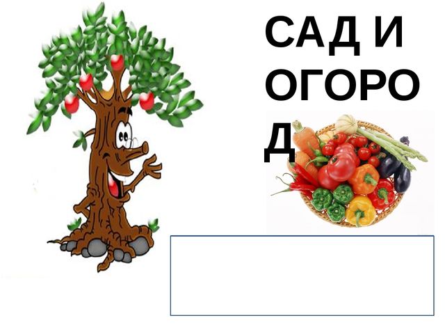 Мультимедийное пособие доя детей старшего дошкольного возраста. Тема: "Сад и огород"