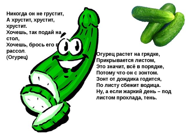 Мультимедийное пособие доя детей старшего дошкольного возраста. Тема: "Сад и огород"