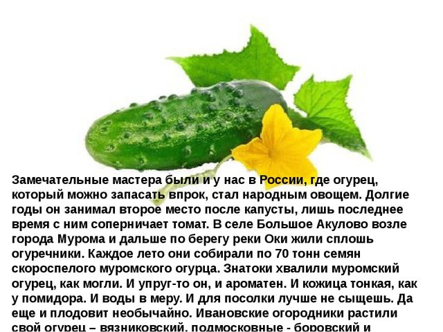 Мультимедийное пособие доя детей старшего дошкольного возраста. Тема: "Сад и огород"