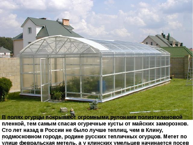 Мультимедийное пособие доя детей старшего дошкольного возраста. Тема: "Сад и огород"