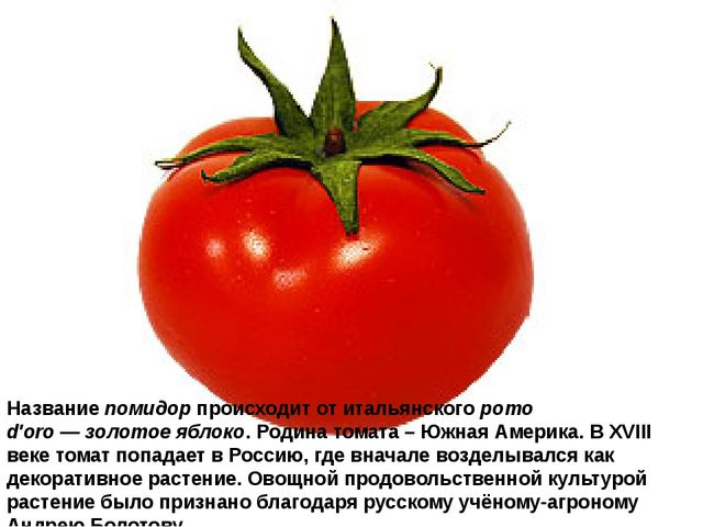 Мультимедийное пособие доя детей старшего дошкольного возраста. Тема: "Сад и огород"