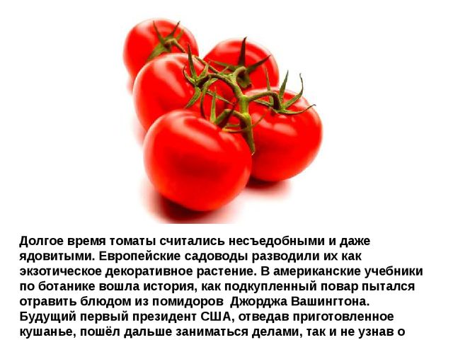Мультимедийное пособие доя детей старшего дошкольного возраста. Тема: "Сад и огород"
