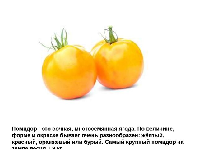 Мультимедийное пособие доя детей старшего дошкольного возраста. Тема: "Сад и огород"