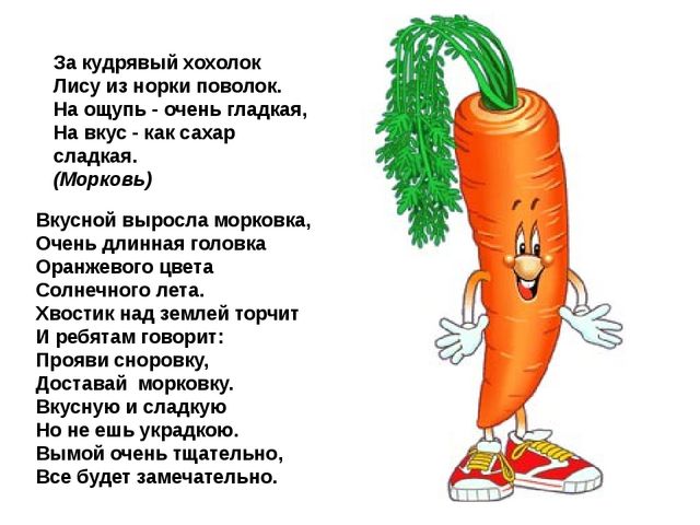 Мультимедийное пособие доя детей старшего дошкольного возраста. Тема: "Сад и огород"