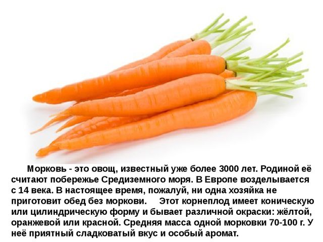Мультимедийное пособие доя детей старшего дошкольного возраста. Тема: "Сад и огород"