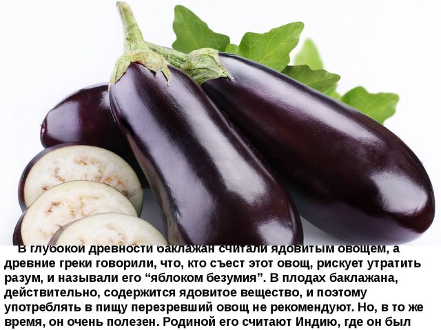 Мультимедийное пособие доя детей старшего дошкольного возраста. Тема: "Сад и огород"