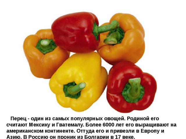 Мультимедийное пособие доя детей старшего дошкольного возраста. Тема: "Сад и огород"