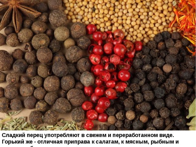 Мультимедийное пособие доя детей старшего дошкольного возраста. Тема: "Сад и огород"
