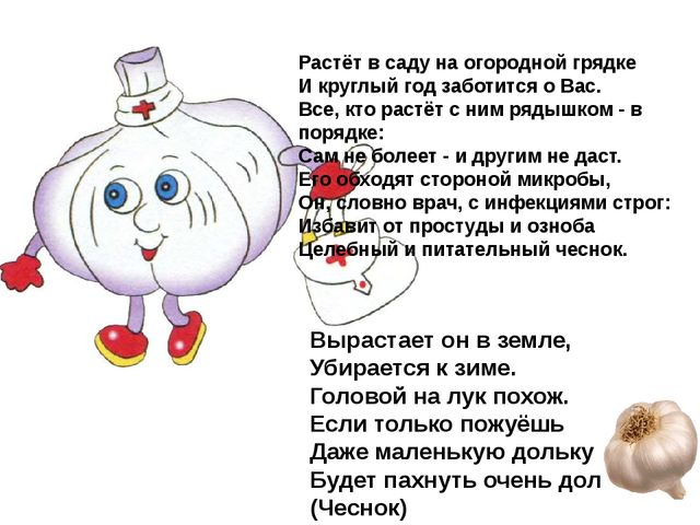 Мультимедийное пособие доя детей старшего дошкольного возраста. Тема: "Сад и огород"