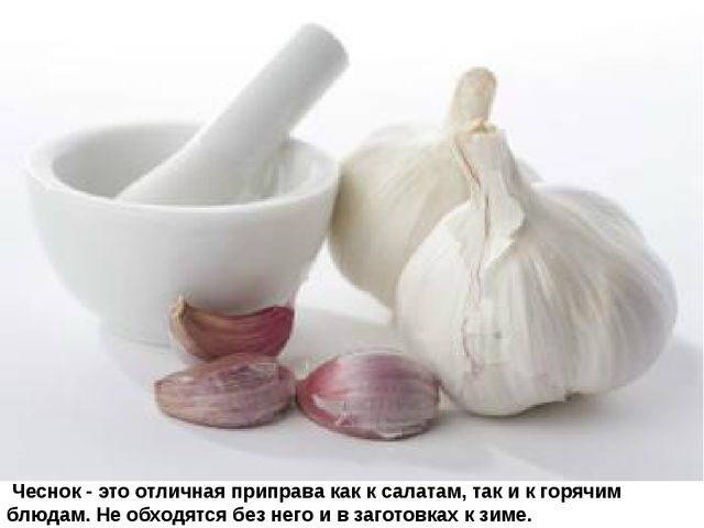 Мультимедийное пособие доя детей старшего дошкольного возраста. Тема: "Сад и огород"