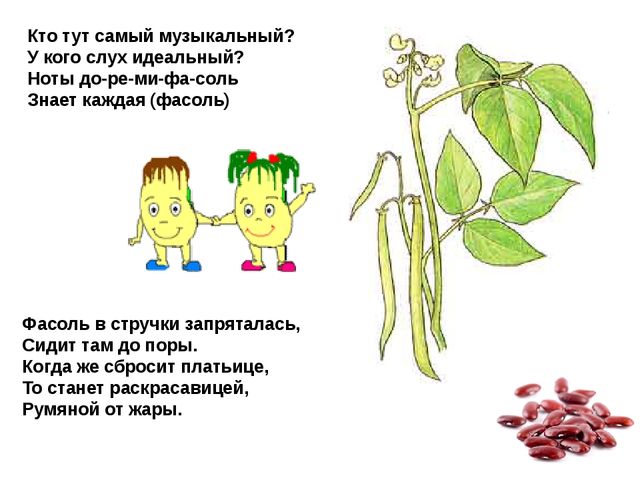 Мультимедийное пособие доя детей старшего дошкольного возраста. Тема: "Сад и огород"