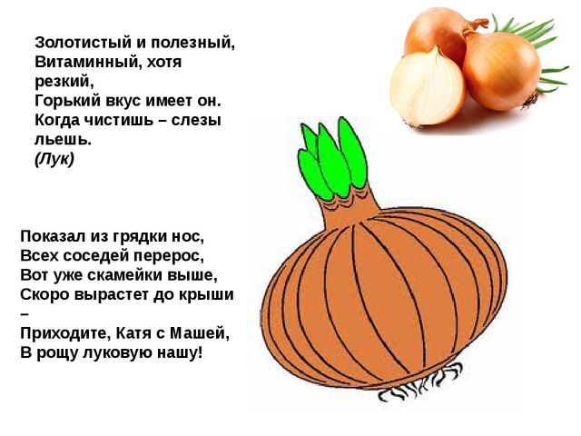 Мультимедийное пособие доя детей старшего дошкольного возраста. Тема: "Сад и огород"