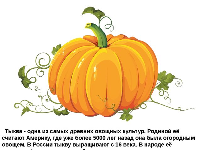 Мультимедийное пособие доя детей старшего дошкольного возраста. Тема: "Сад и огород"