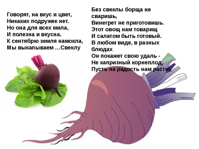 Мультимедийное пособие доя детей старшего дошкольного возраста. Тема: "Сад и огород"
