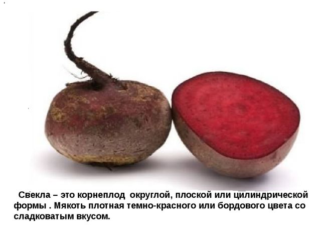 Мультимедийное пособие доя детей старшего дошкольного возраста. Тема: "Сад и огород"