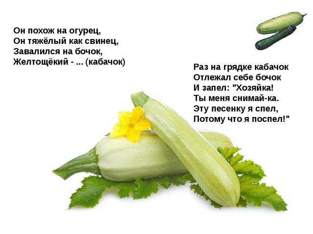 Мультимедийное пособие доя детей старшего дошкольного возраста. Тема: "Сад и огород"