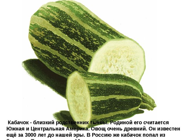 Мультимедийное пособие доя детей старшего дошкольного возраста. Тема: "Сад и огород"