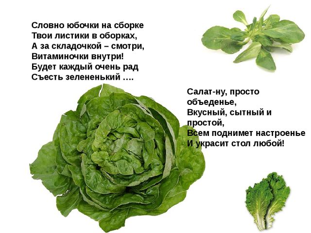 Мультимедийное пособие доя детей старшего дошкольного возраста. Тема: "Сад и огород"