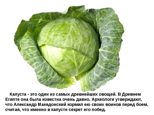 Мультимедийное пособие доя детей старшего дошкольного возраста. Тема: "Сад и огород"