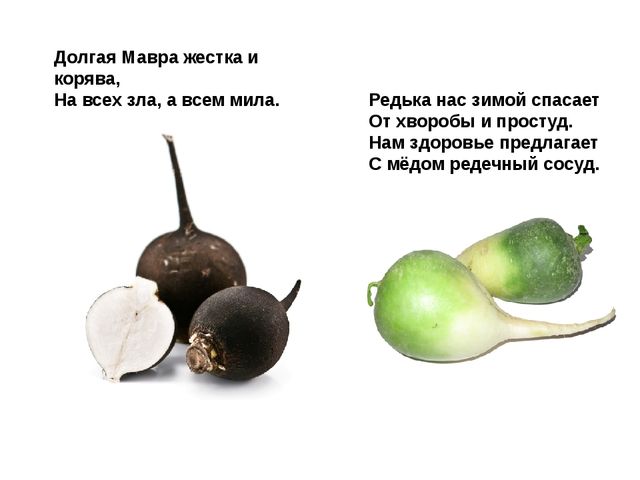 Мультимедийное пособие доя детей старшего дошкольного возраста. Тема: "Сад и огород"