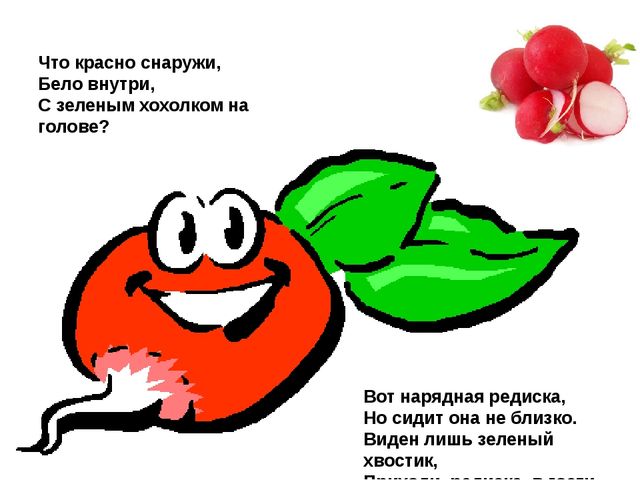 Мультимедийное пособие доя детей старшего дошкольного возраста. Тема: "Сад и огород"