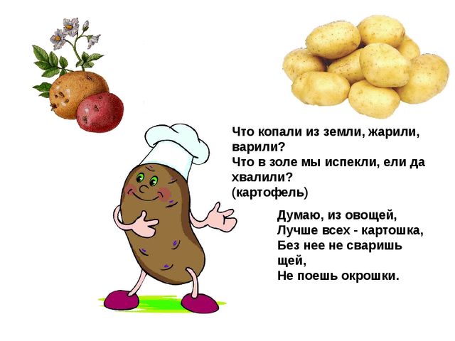 Мультимедийное пособие доя детей старшего дошкольного возраста. Тема: "Сад и огород"