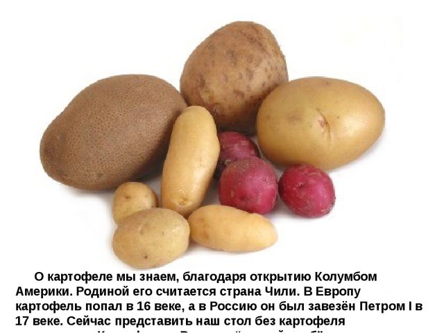 Мультимедийное пособие доя детей старшего дошкольного возраста. Тема: "Сад и огород"