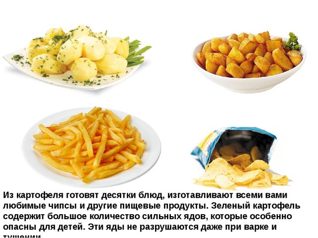 Мультимедийное пособие доя детей старшего дошкольного возраста. Тема: "Сад и огород"
