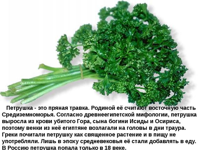 Мультимедийное пособие доя детей старшего дошкольного возраста. Тема: "Сад и огород"