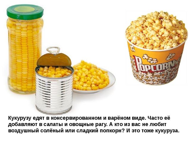 Мультимедийное пособие доя детей старшего дошкольного возраста. Тема: "Сад и огород"