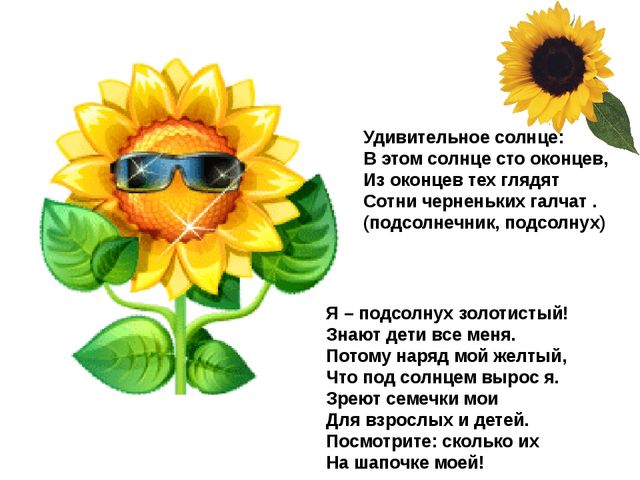 Мультимедийное пособие доя детей старшего дошкольного возраста. Тема: "Сад и огород"