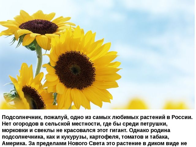 Мультимедийное пособие доя детей старшего дошкольного возраста. Тема: "Сад и огород"