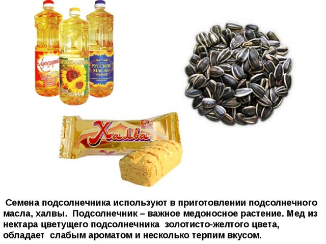 Мультимедийное пособие доя детей старшего дошкольного возраста. Тема: "Сад и огород"