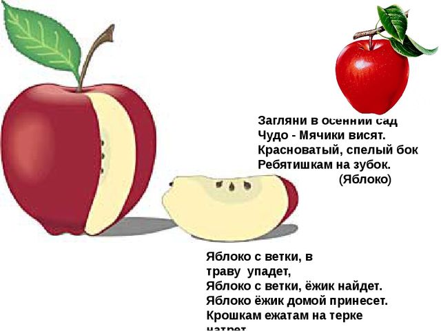 Мультимедийное пособие доя детей старшего дошкольного возраста. Тема: "Сад и огород"