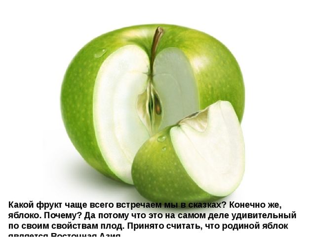 Мультимедийное пособие доя детей старшего дошкольного возраста. Тема: "Сад и огород"
